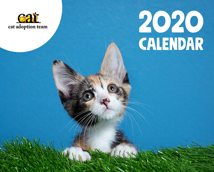 2020 CAT Calendar Order Form